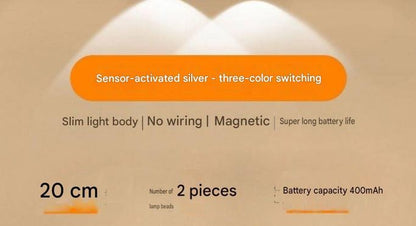 Smart Motion Sensor Light